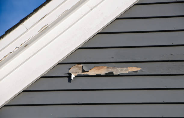 Affordable Siding Repair and Maintenance Services in Inverness, CO